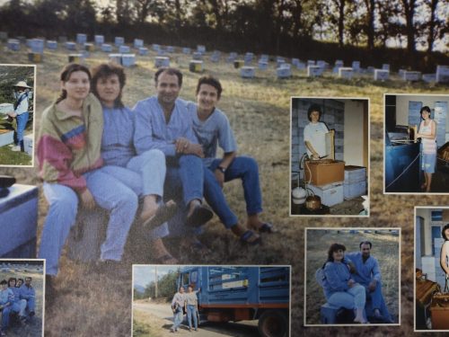 FamilyPanagiotou-scaled